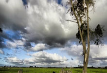 不朽情缘下载：歐冠之星榜：哈蘭德領銜槍手2將進前十！胡梅爾斯重回巔峰領跑後衛！.