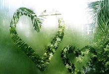 NBA常规赛：格林35+5火箭复仇森林狼 华子37+4申京24+13+8失误.