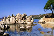 2022卡塔爾世界杯對陣圖.